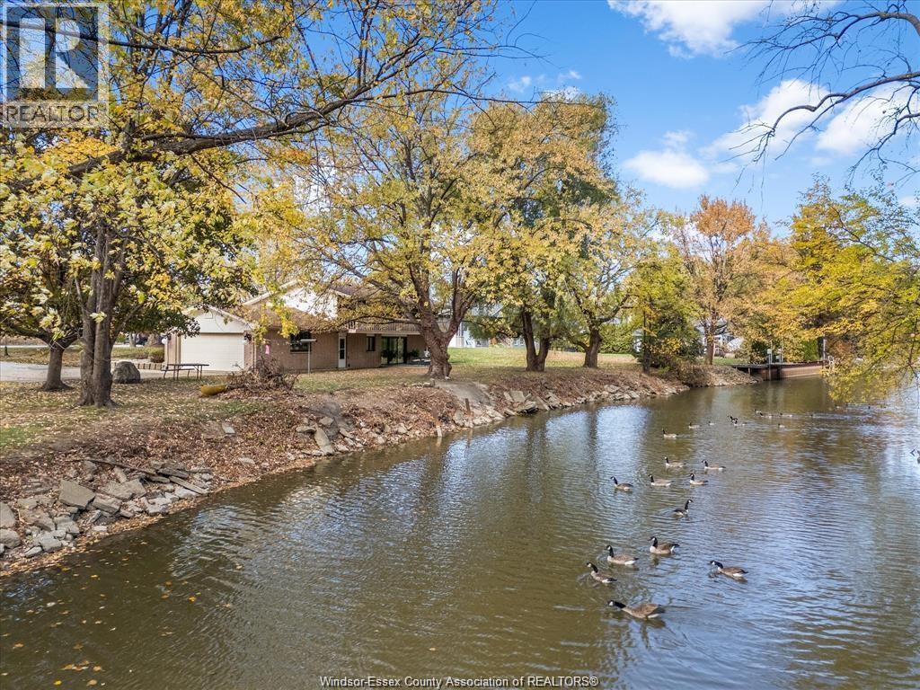 224 West Pike Creek, Lakeshore, Ontario  N8N 2L9 - Photo 41 - 26014766