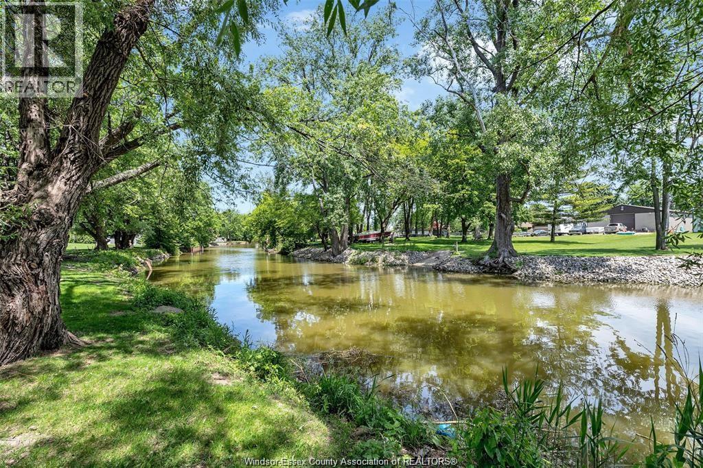 224 West Pike Creek, Lakeshore, Ontario  N8N 2L9 - Photo 5 - 26014766