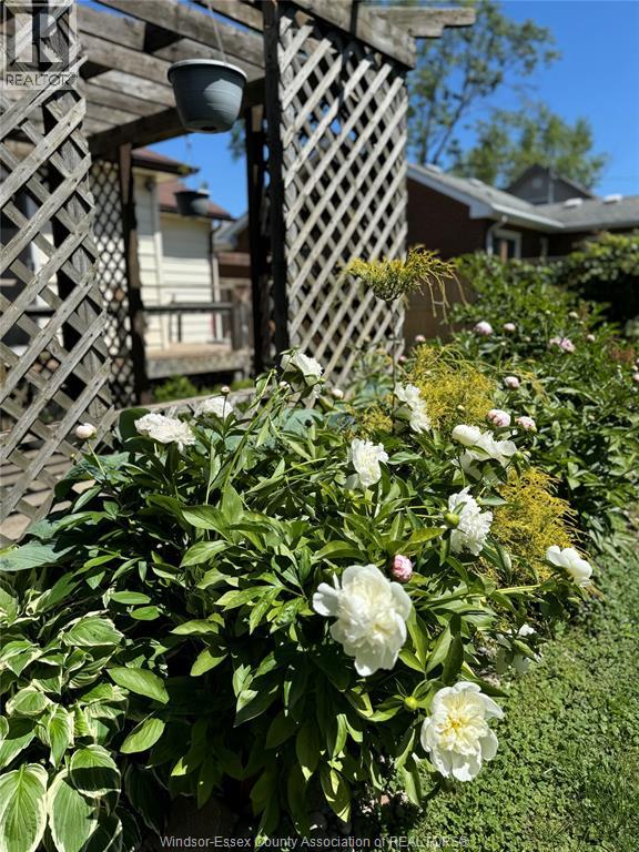 2163 Wellesley Avenue, Windsor, Ontario  N8W 2E8 - Photo 38 - 26014824