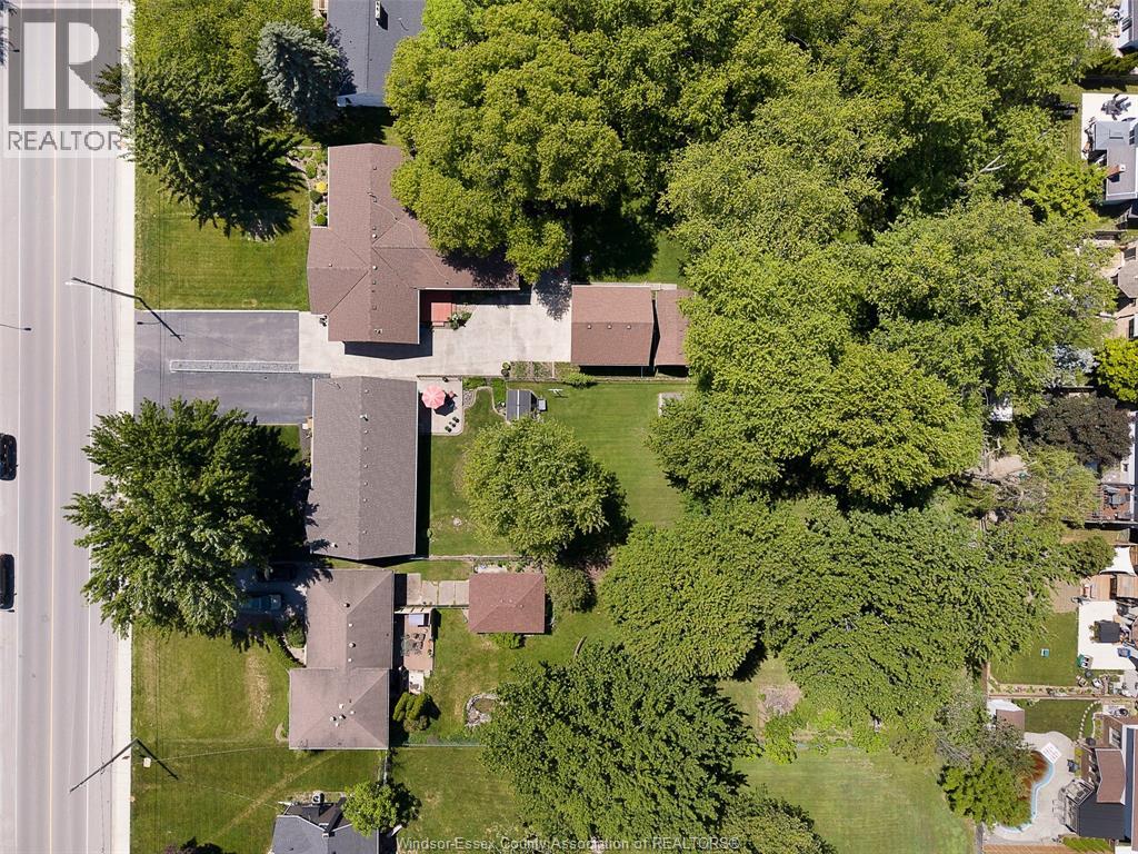 199 Notre Dame Street, Lakeshore, Ontario  N0R 1A0 - Photo 29 - 26015256