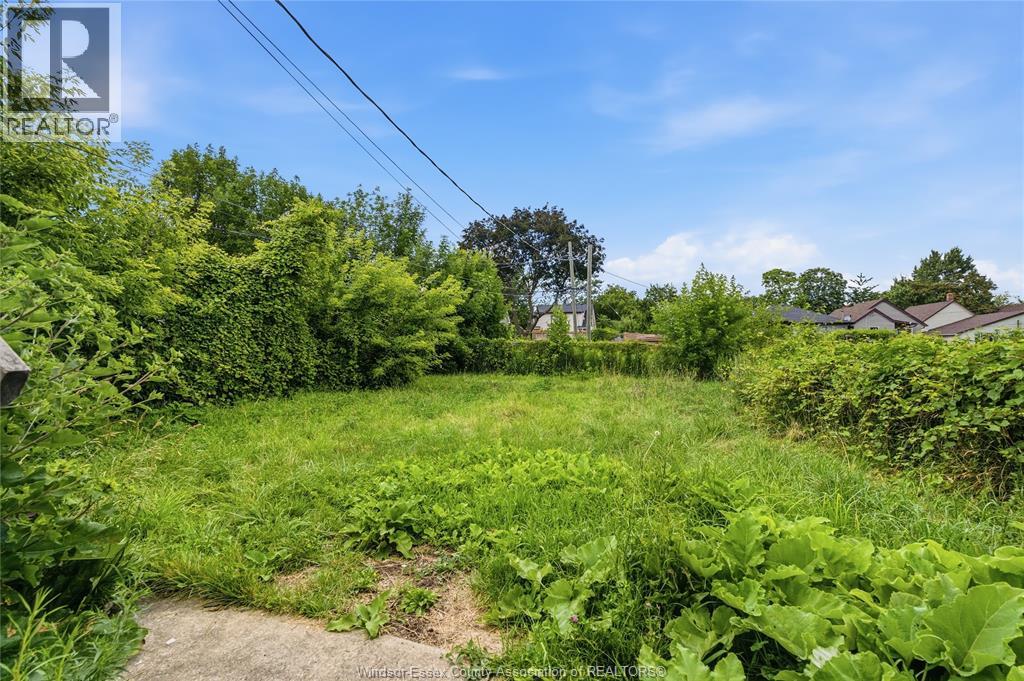 722 Brant Street, Windsor, Ontario  N9A 3E8 - Photo 17 - 26015242