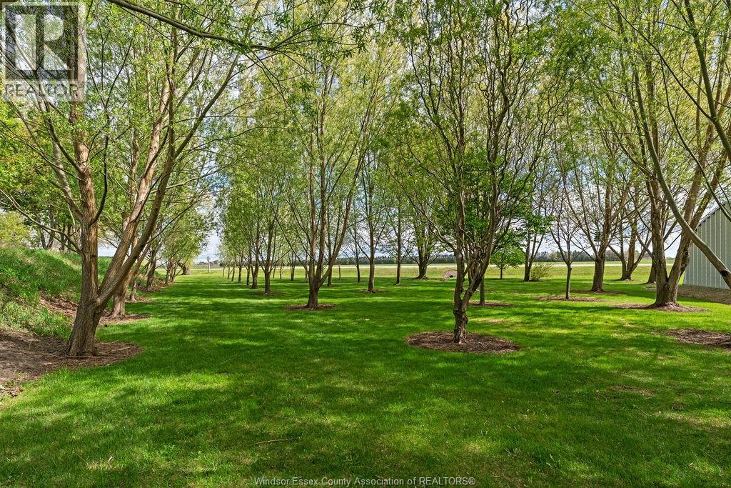 24122 Poppe Road, Tilbury, Ontario  N0P 2L0 - Photo 39 - 26015867