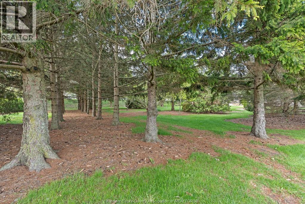 24122 Poppe Road, Tilbury, Ontario  N0P 2L0 - Photo 40 - 26015867