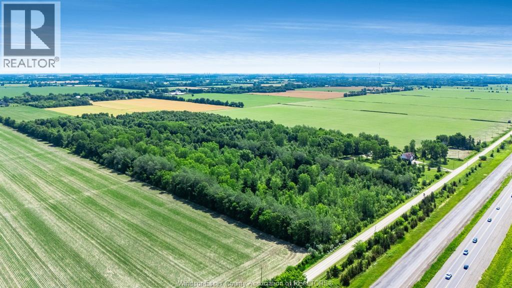 383 South Talbot Road, Kingsville, Ontario  N8M 2X5 - Photo 46 - 26015913