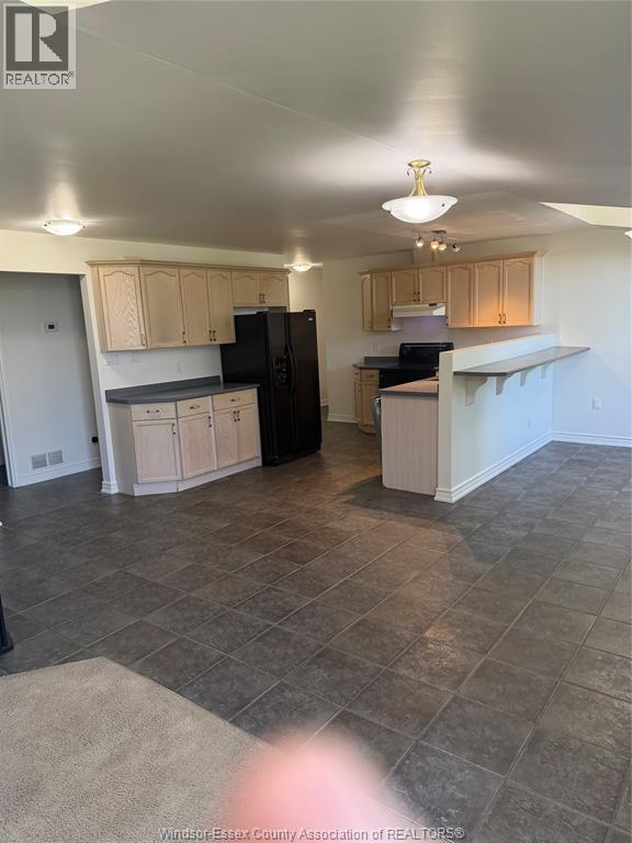 695 Front Road North Unit# Upper, Amherstburg, Ontario  N9V 2V6 - Photo 4 - 26016294