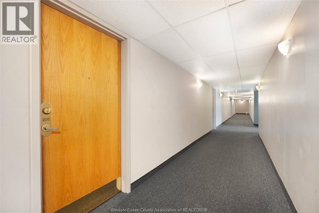401 Grand Marais Road West Unit# 205, Windsor, Ontario  N9E 4S2 - Photo 4 - 26016445