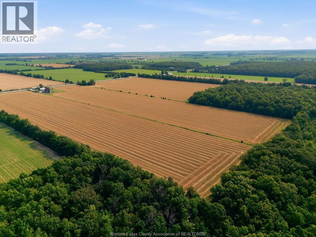 7919 County Road 18 W, Essex, Ontario  N0R 1B0 - Photo 6 - 26017150
