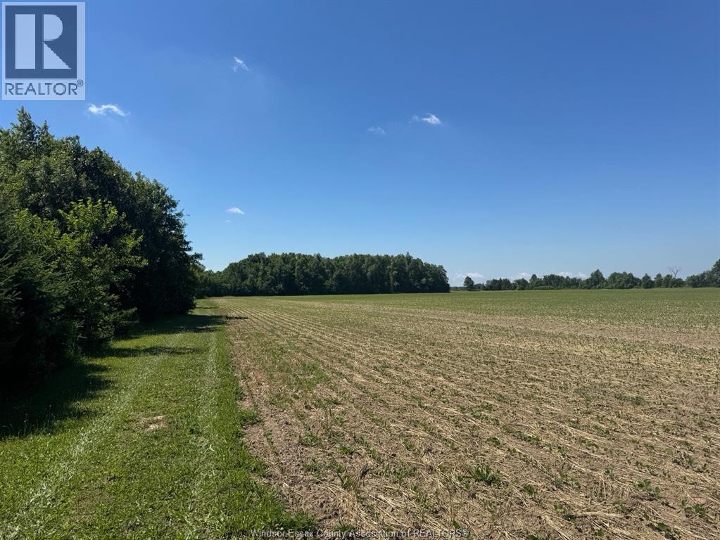 9773 9th Concession Rd., Essex, Ontario  N8M 2X5 - Photo 35 - 26017489