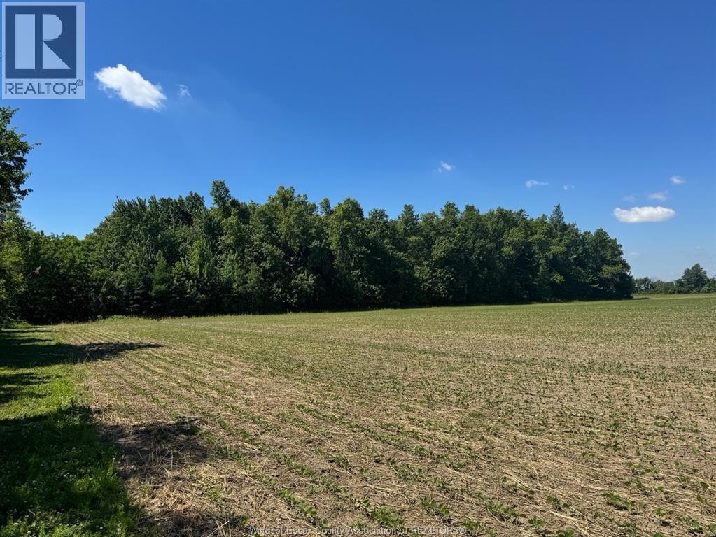 9773 9th Concession Rd., Essex, Ontario  N8M 2X5 - Photo 36 - 26017489