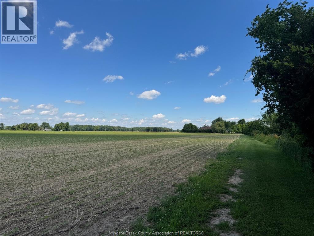 9773 9th Concession Rd., Essex, Ontario  N8M 2X5 - Photo 38 - 26017489