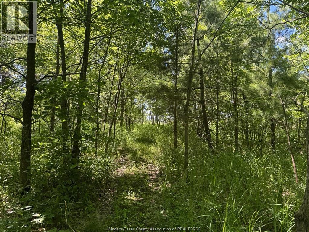 9773 9th Concession Rd., Essex, Ontario  N8M 2X5 - Photo 41 - 26017489