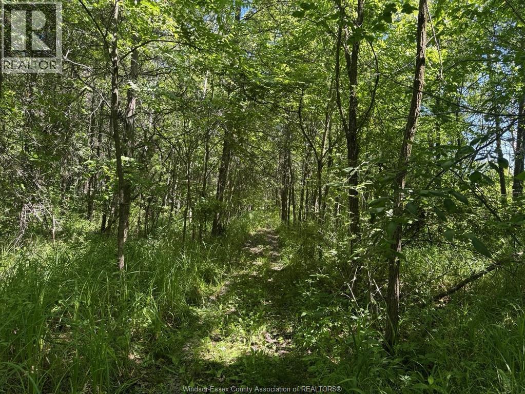 9773 9th Concession Rd., Essex, Ontario  N8M 2X5 - Photo 42 - 26017489
