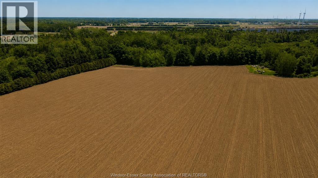 226 Norfolk County Road 28, Langton, Ontario  N0E 1G0 - Photo 12 - 26017505