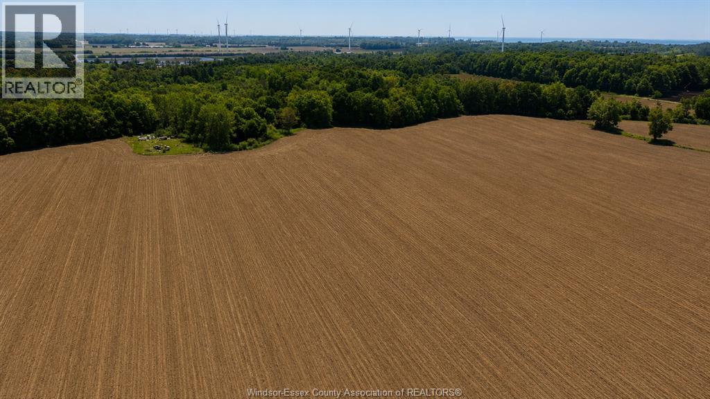 226 Norfolk County Road 28, Langton, Ontario  N0E 1G0 - Photo 13 - 26017505
