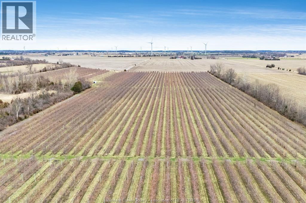 496 County Rd 34, Ruthven, Ontario  N0P 2G0 - Photo 47 - 26017602