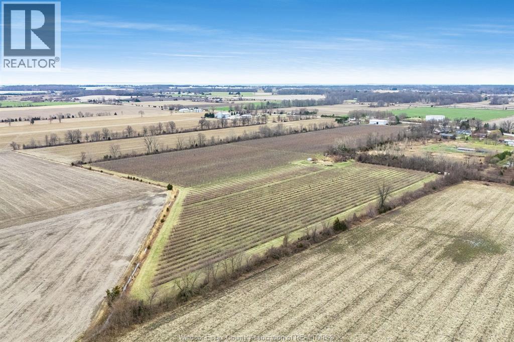 496 County Rd 34, Ruthven, Ontario  N0P 2G0 - Photo 48 - 26017602