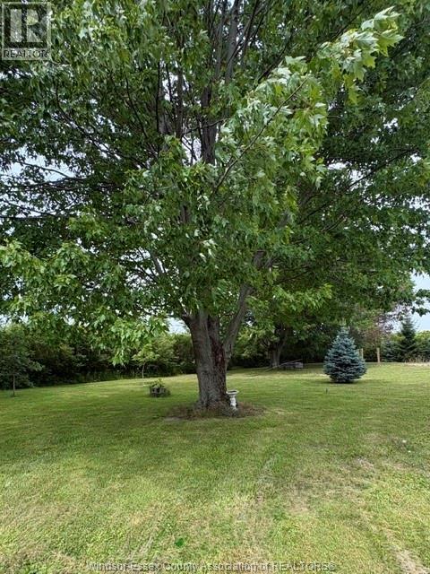949 East West Rd, Pelee Island, Ontario  N0R 1M0 - Photo 40 - 26017558