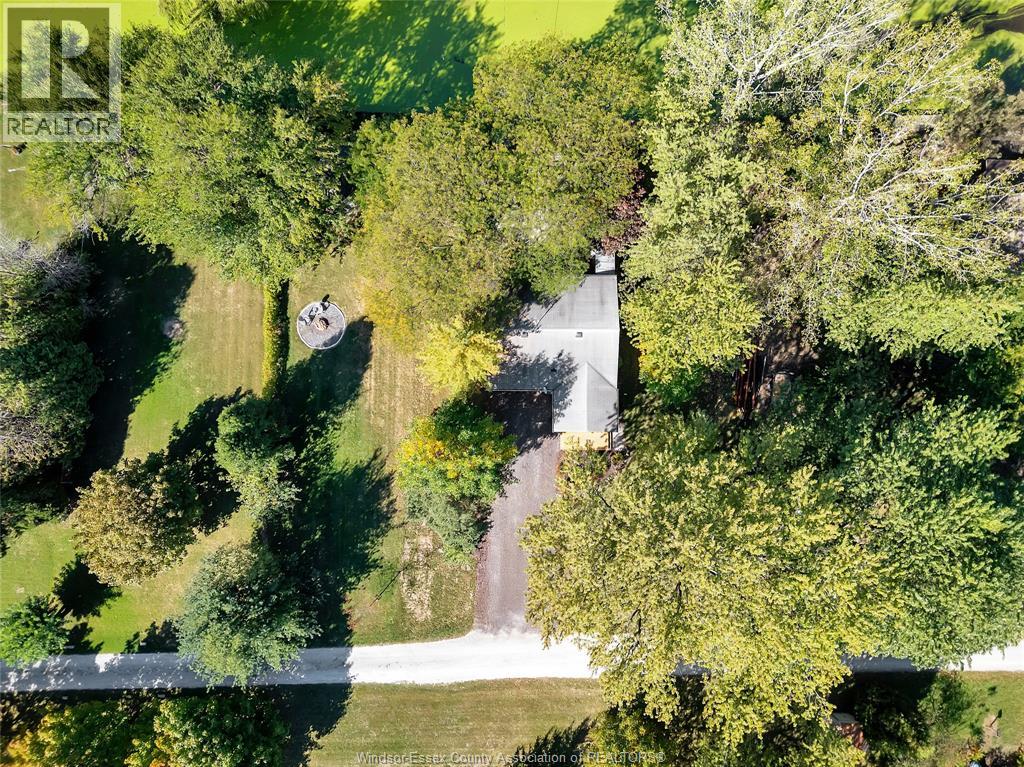 255 Edward Road, Lakeshore, Ontario  N0R 1S0 - Photo 39 - 26017856