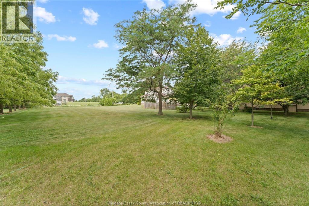 867 Talbot (County Road 34), Lakeshore, Ontario  N0R 1K0 - Photo 37 - 26017974
