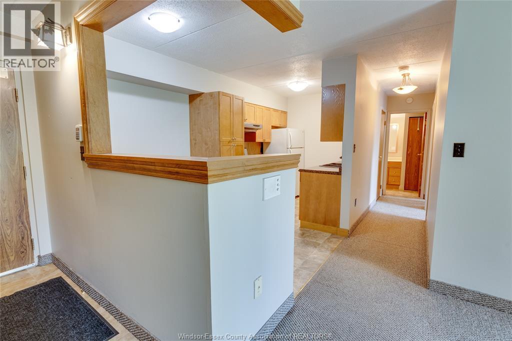 3355 Sandwich Street Unit# 104, Windsor, Ontario  N9C 1B2 - Photo 5 - 26018093