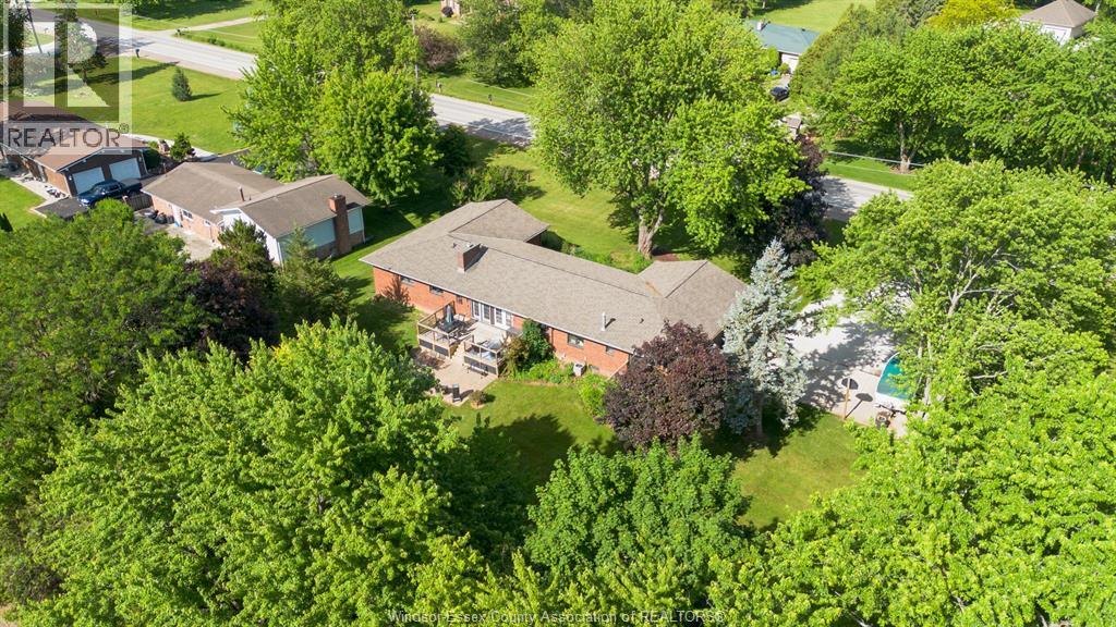1732 County Road 27, Lakeshore, Ontario  N0R 1V0 - Photo 4 - 26018192