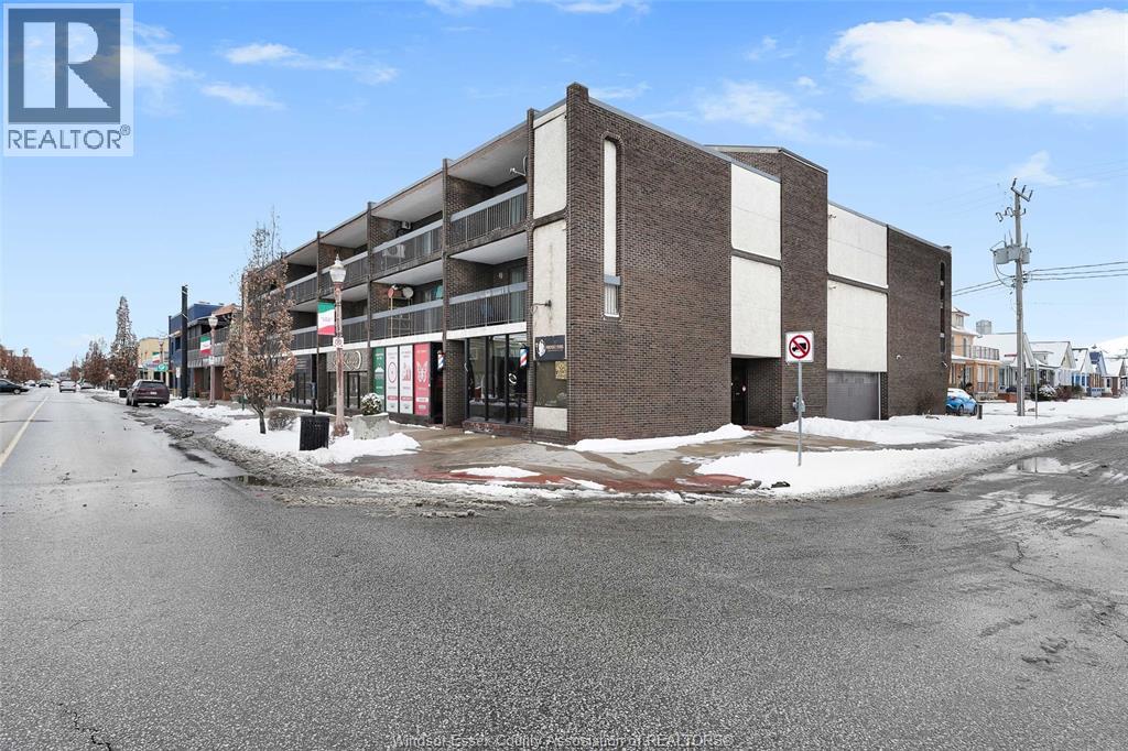 995 Elsmere, Windsor, Ontario  N9A 2A8 - Photo 3 - 26018350