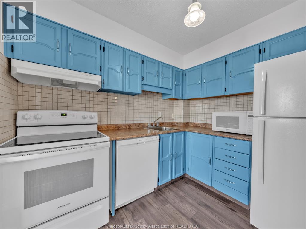 3950 Wyandotte Street East Unit# 505, Windsor, Ontario  N8Y 1G5 - Photo 10 - 26018535