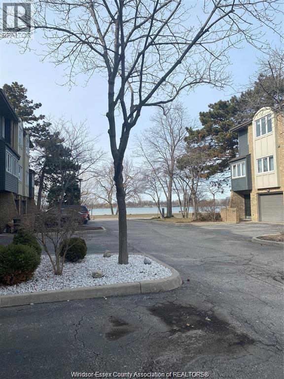 3925 Riverside Drive, Windsor, Ontario  N8Y 1B1 - Photo 24 - 26019160