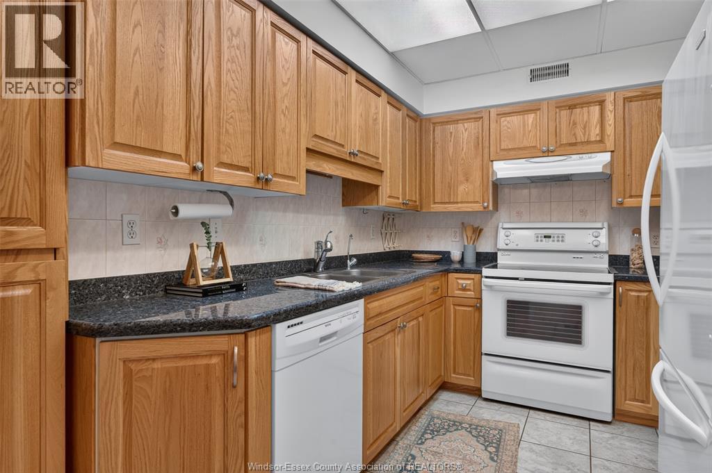 3915 Southwinds Drive Unit# 203, Windsor, Ontario  N9G 2N7 - Photo 21 - 26018223