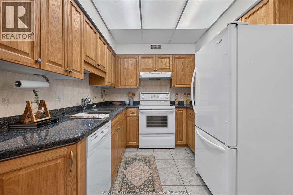 3915 Southwinds Drive Unit# 203, Windsor, Ontario  N9G 2N7 - Photo 22 - 26018223