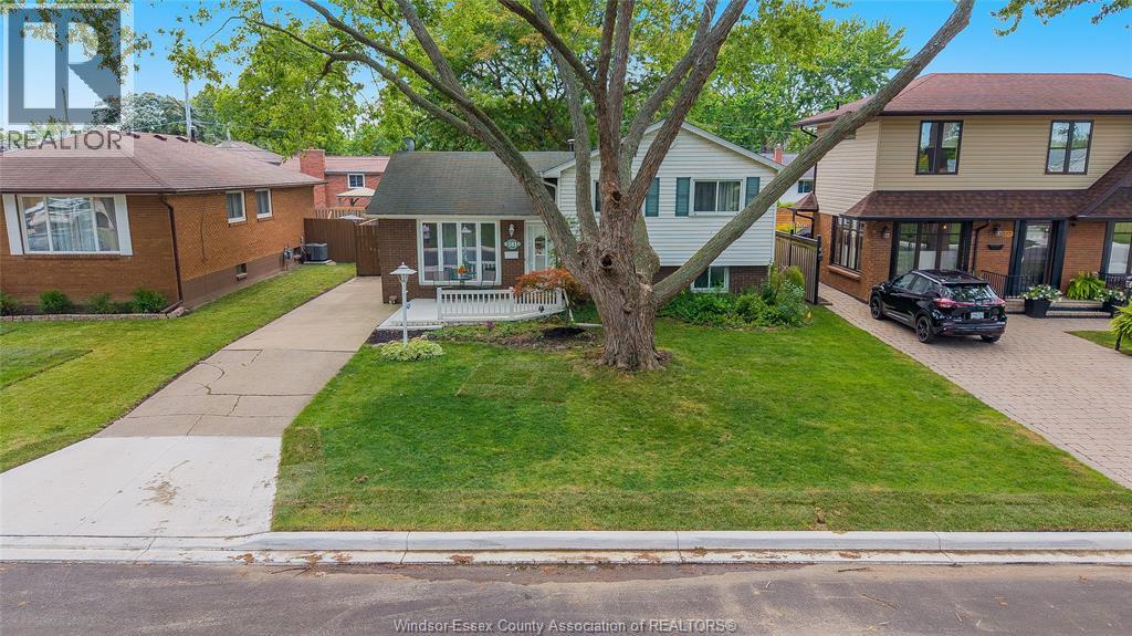 381 CARLING, Windsor, Ontario