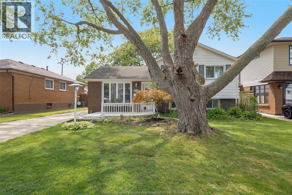 381 Carling, Windsor, Ontario  N8S 3X7 - Photo 43 - 26019252