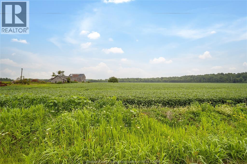 1094 Hale School Road, Dawn-Euphemia, Ontario  N0P 1K0 - Photo 4 - 26019284