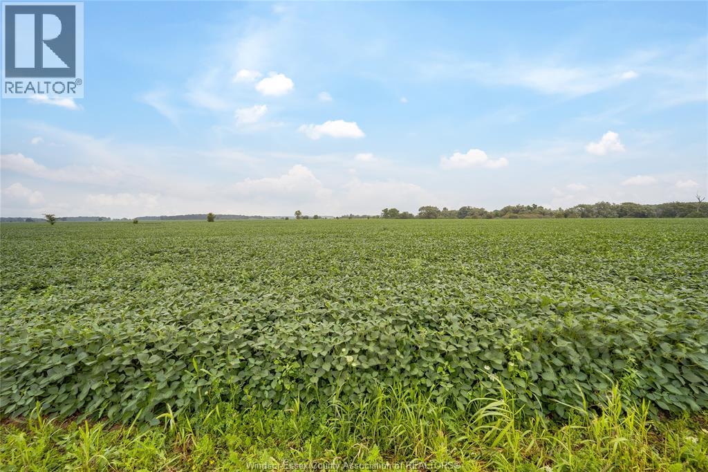 1094 Hale School Road, Dawn-Euphemia, Ontario  N0P 1K0 - Photo 6 - 26019284