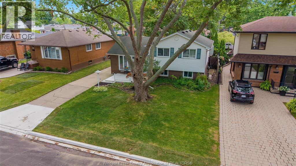 381 Carling, Windsor, Ontario  N8S 3X7 - Photo 2 - 26020686