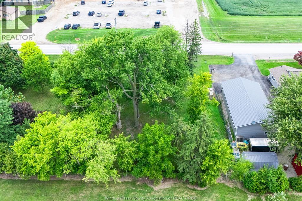 99 Road 4 East, Kingsville, Ontario  N9Y 2E5 - Photo 7 - 26021328