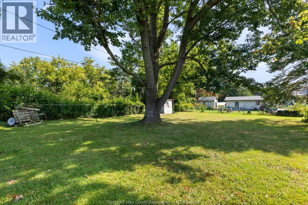 146 Maple, Harrow, Ontario  N0R 1G0 - Photo 13 - 26021541