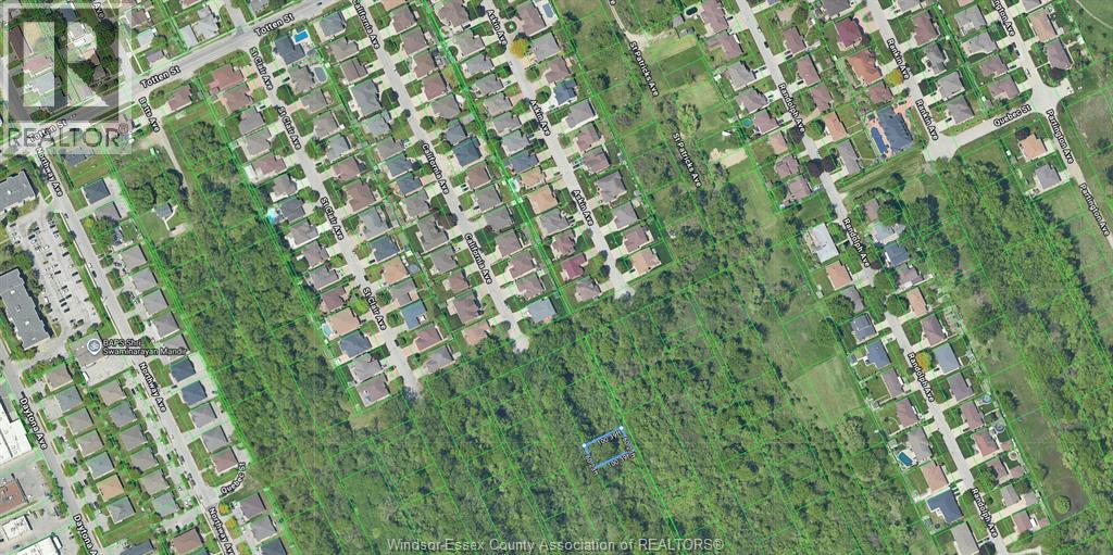 V/L CALIFORNIA, Windsor, Ontario