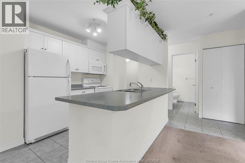 1655 Grand Marais Road West Unit# 304, Windsor, Ontario  N9E 4W4 - Photo 19 - 26022191