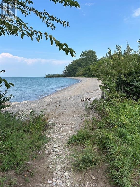 131 Harris Garno, Pelee Island, Ontario  N0R 1M0 - Photo 3 - 26022065