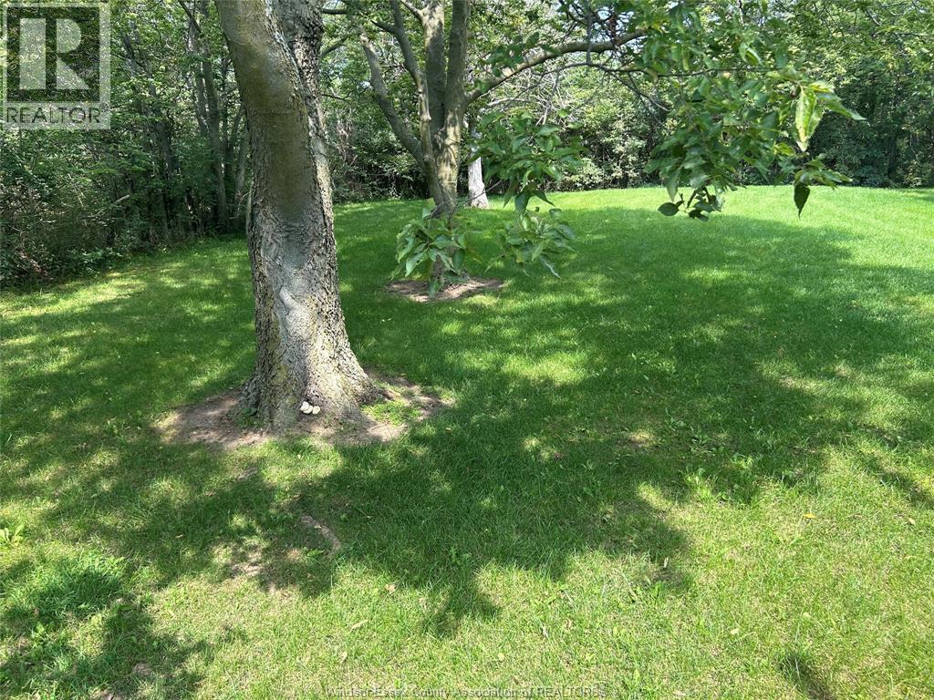 131 Harris Garno, Pelee Island, Ontario  N0R 1M0 - Photo 40 - 26022065