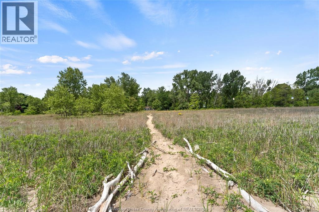 17520 Lakeshore Road, Rondeau Park, Ontario  N0P 1X0 - Photo 39 - 26022512
