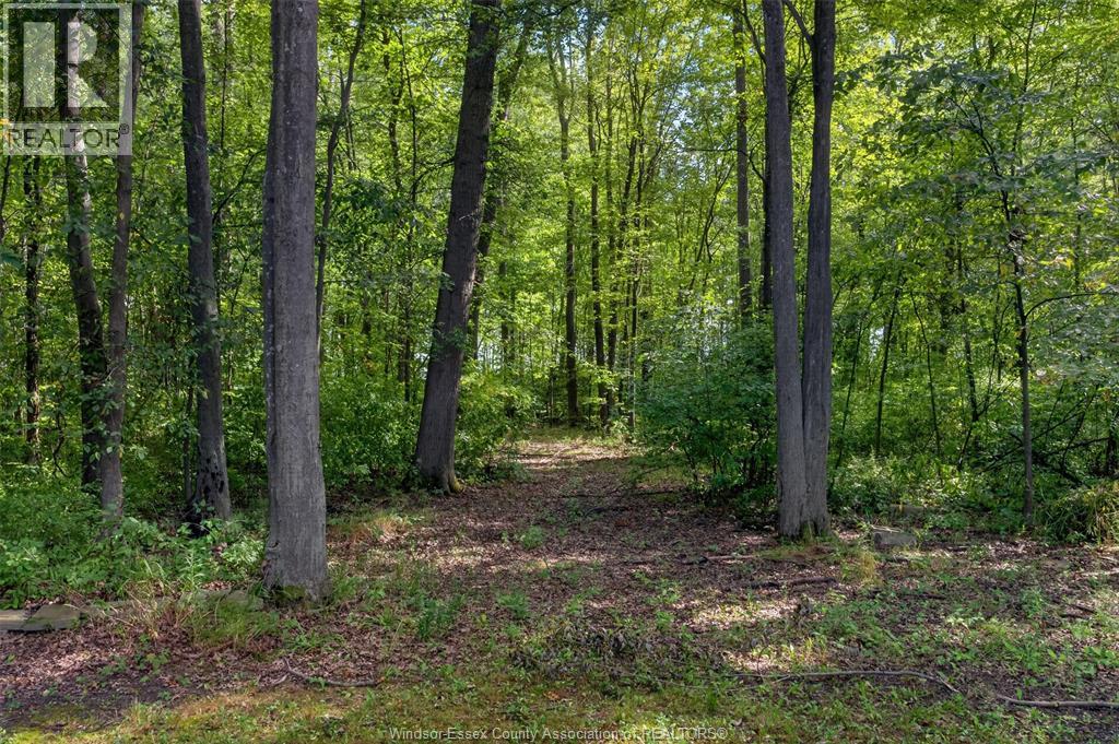 8030 County Rd 15, Essex, Ontario  N8M 2X6 - Photo 49 - 26022766