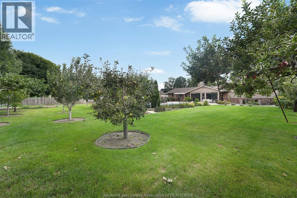 1528 Ravine Line Road, Kingsville, Ontario  N9Y 2W9 - Photo 36 - 26022798
