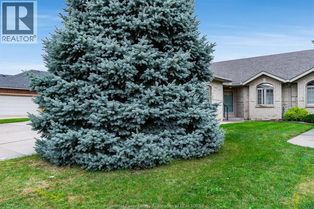 13 Leonard Dr, Kingsville, Ontario  N9Y 4G4 - Photo 42 - 26022624