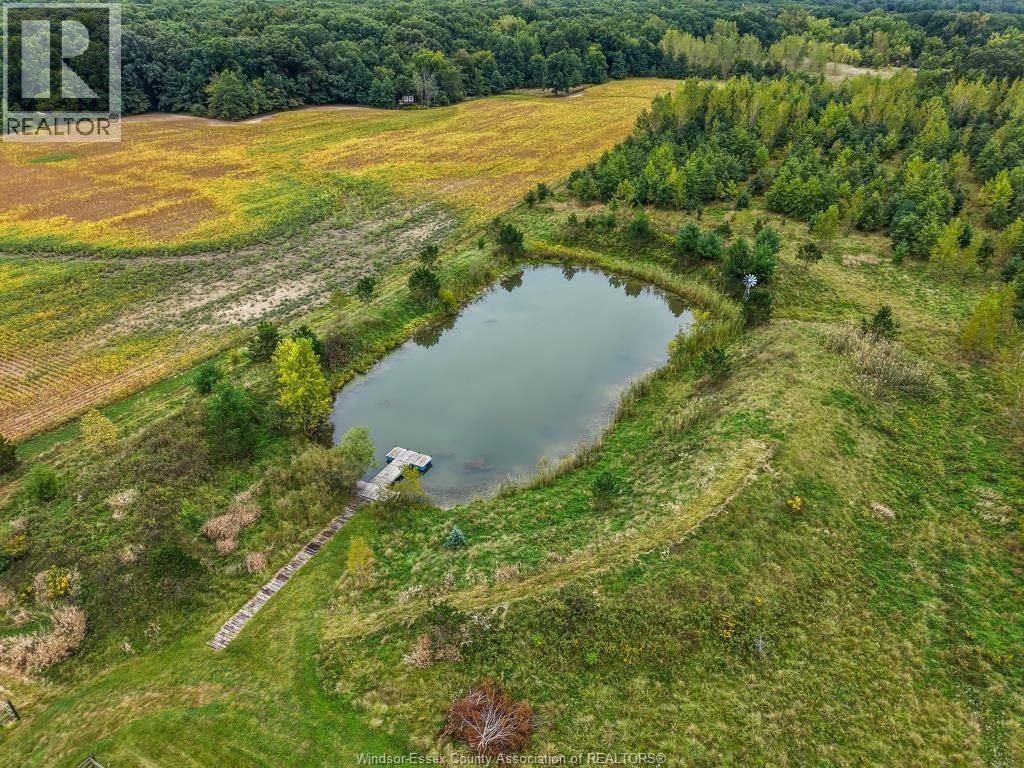 4913 4th Concession Rd E East, Harrow, Ontario  N0R 1G0 - Photo 22 - 26023184