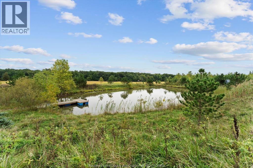 4913 4th Concession Rd E East, Harrow, Ontario  N0R 1G0 - Photo 45 - 26023184