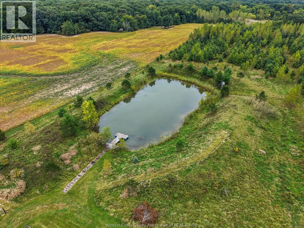 4913 4th Concession Rd E East, Harrow, Ontario  N0R 1G0 - Photo 50 - 26023184