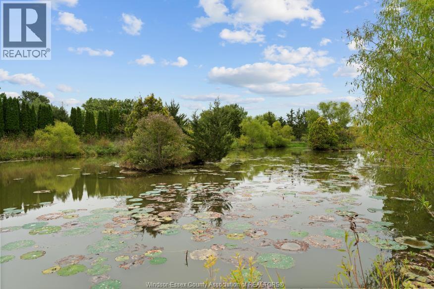 4913 4th Concession Rd E East, Harrow, Ontario  N0R 1G0 - Photo 8 - 26023184