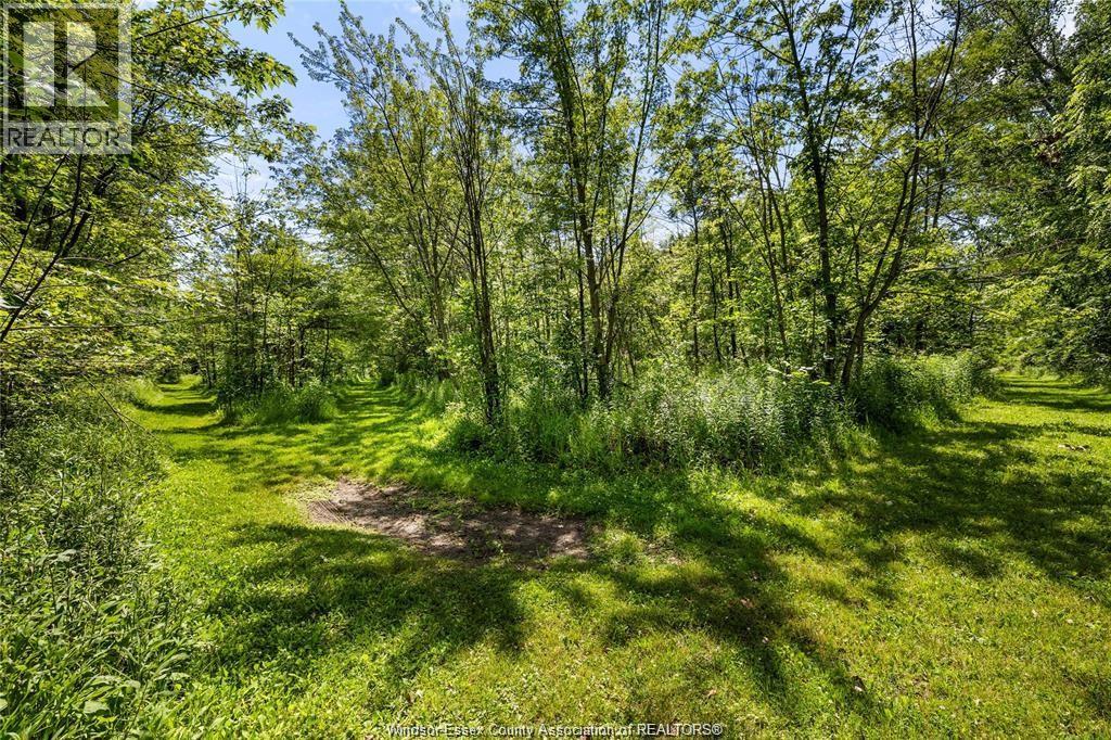 1418 County Rd 31, Lakeshore, Ontario  N0R 1S0 - Photo 40 - 26023381
